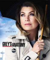 Grey's Anatomy season 12 /   12 